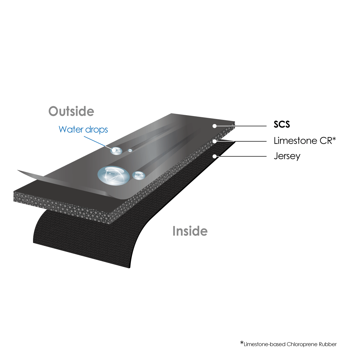 scs-3 (1)